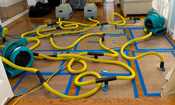 Professional Water Damage Restoration technician working in La Fayette, GA